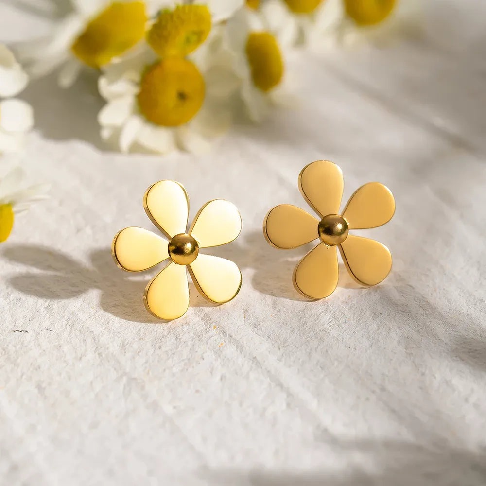 collection-banner-image